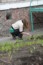 image24