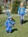 image24