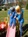image24