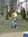 image24