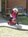 image24