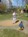 image24