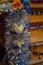 image24